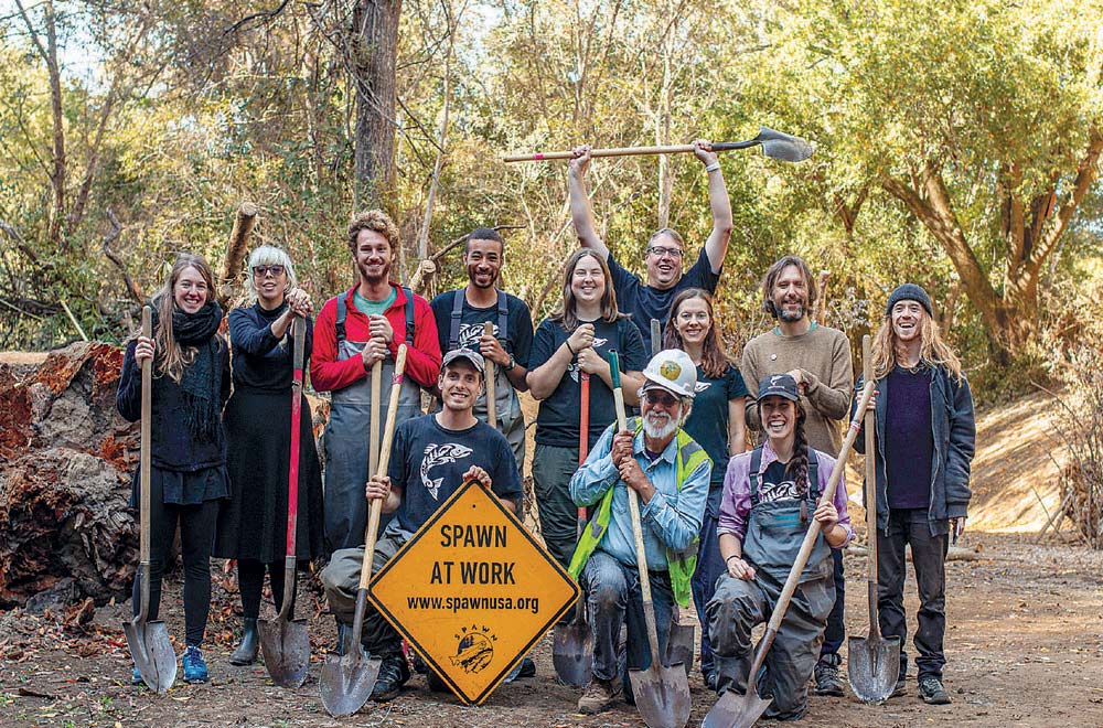 Lagunitas-Creek-Web