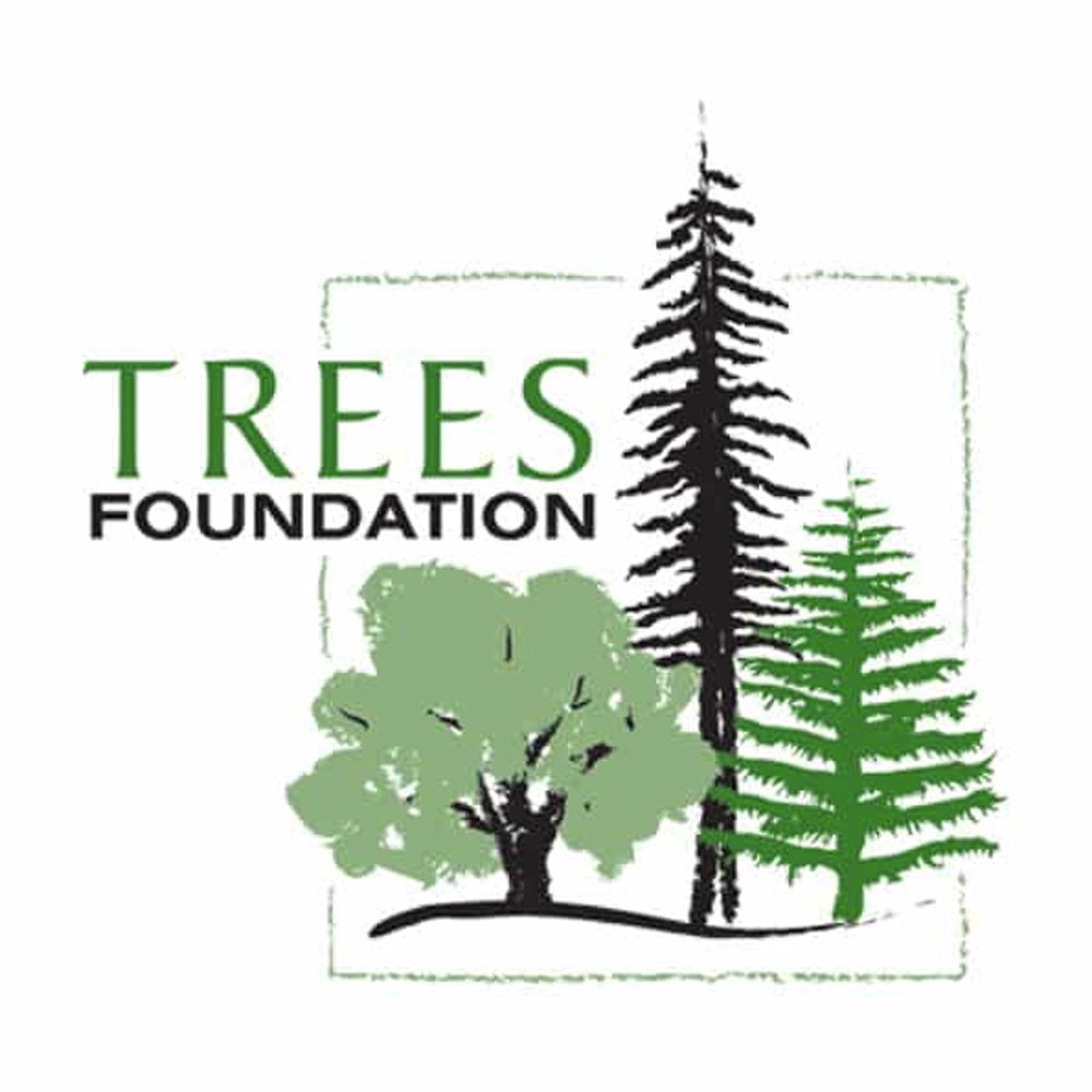 Trees Foundation