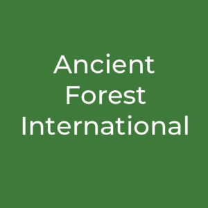 Ancient Forest International