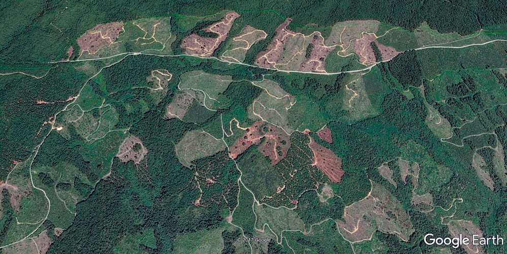 Green Diamond clearcuts adjacent to Redwood National and State Parks