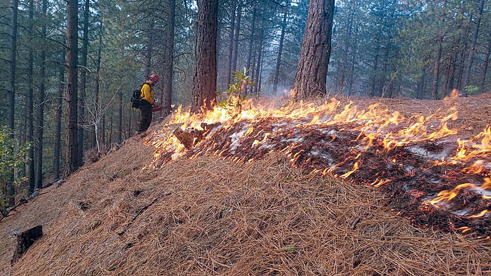 Burning as part of cultural fire-management in N. California,