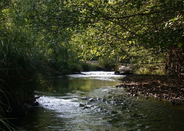 Tenmile creek photo from Tenmile creek watershed council facebook page 