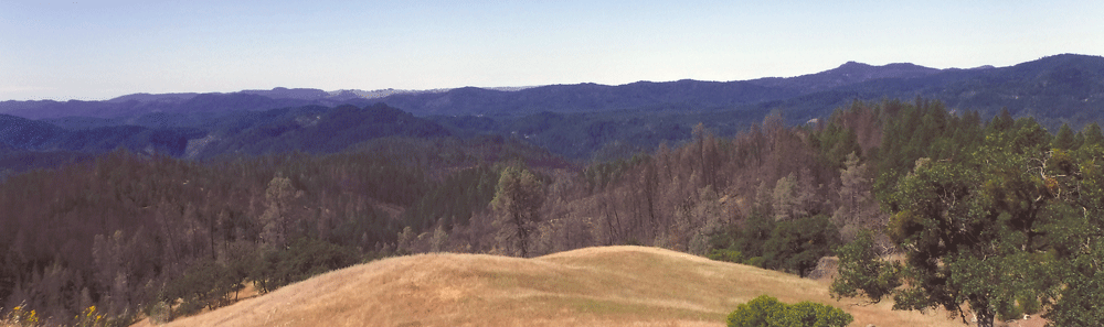 North Fork Eel River watershed with poor forest health conditions. A fire risk.