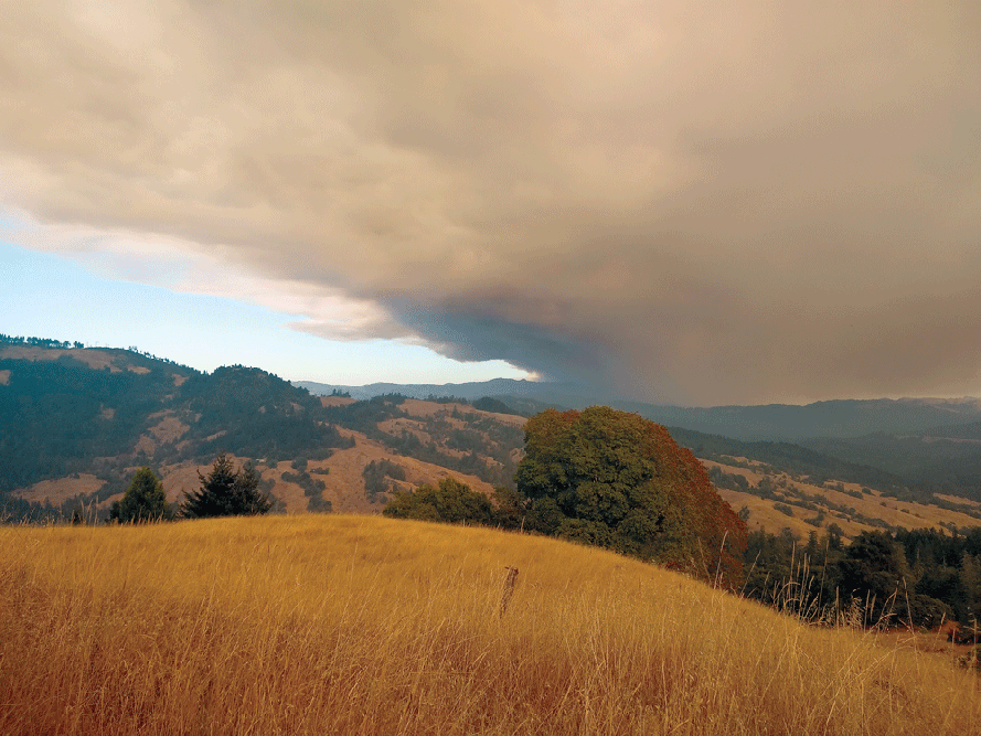 The North August Complex Fire near Ruth Lake, taken from the Salmon Creek watershed in 2020.
photo by Greg Condon