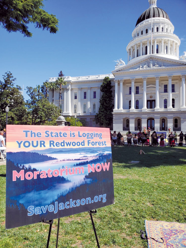 An Indigenous-led rally at the State Capitol on March 25, 2022 calling for a moratorium on 
all logging in Jackson Demonstration State Forest until a better management plan is developed. Senator Mike McGuire announced on March 2nd that the current management plan 
will be rewritten.  Photo by Melodie Meyer