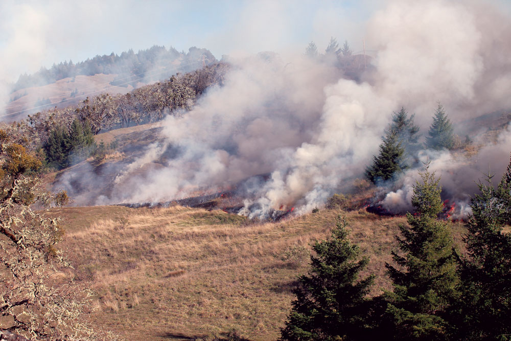 The Oak Knoll prescribed fire during the burn is set from the top of the hill, 
working downward to ensure manageable fire behavior.