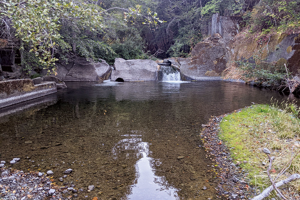 Cedar Creek and the South Fork Eel.