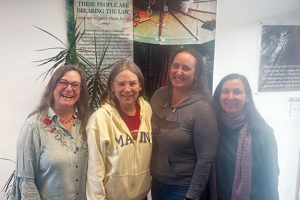 Jeri Fergus, Barbara Ristow, Mona Provisor, and Kerry Reynolds (l-r) at a recent thank-you and farewell lunch for long-time Trees Foundation Collective member Barbara.
Photo by Trees Foundation