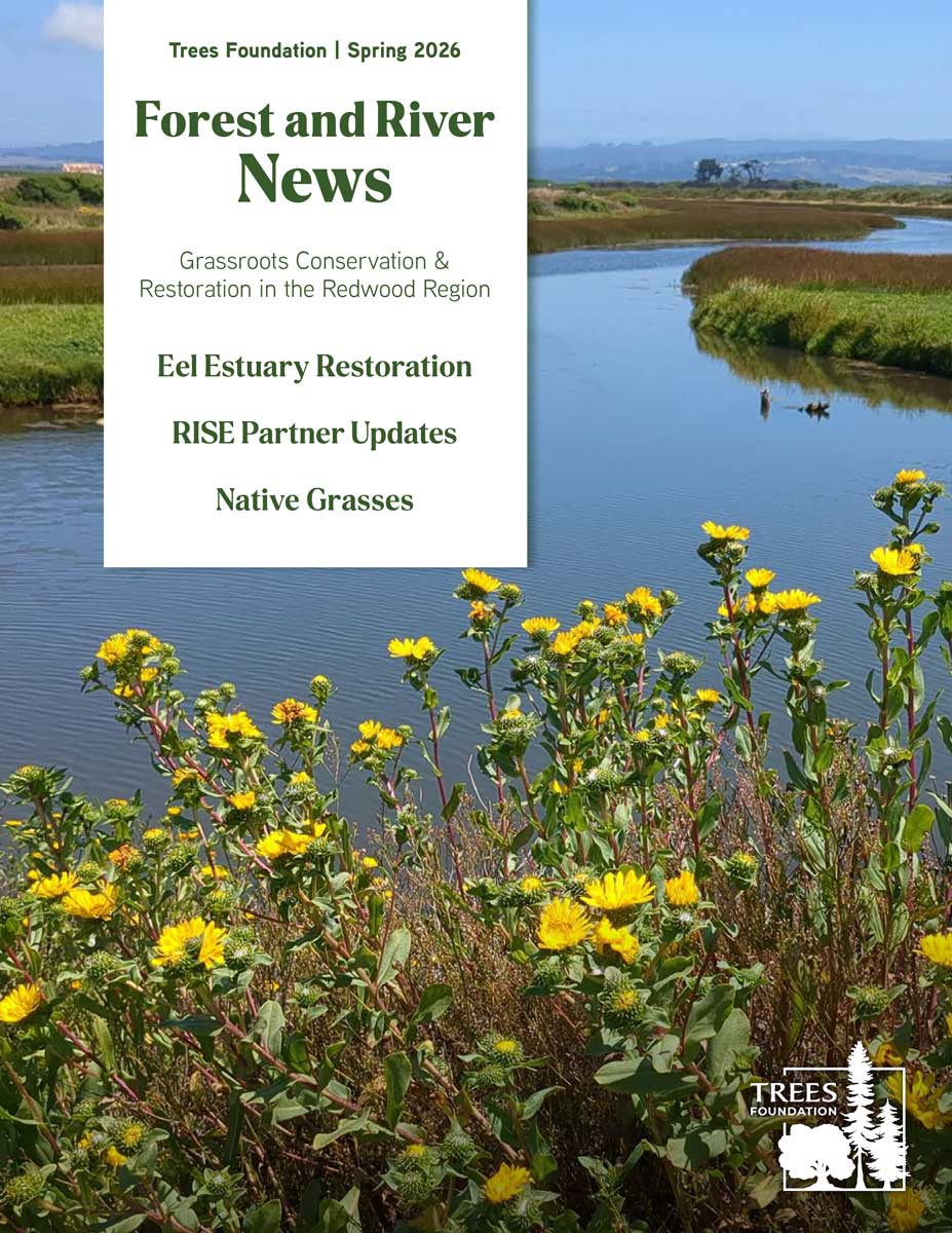 FRN_Spring2026_web-1